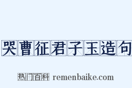 哭曹征君子玉造句是什么意思的图片